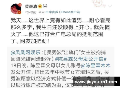 处理违法体育明星的法律与道德双重考量及后续影响分析